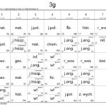 3g